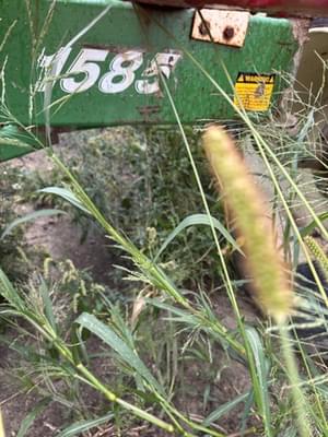 E-Z Trail 1585 Image