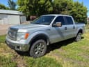 2013 Ford F-150 Image