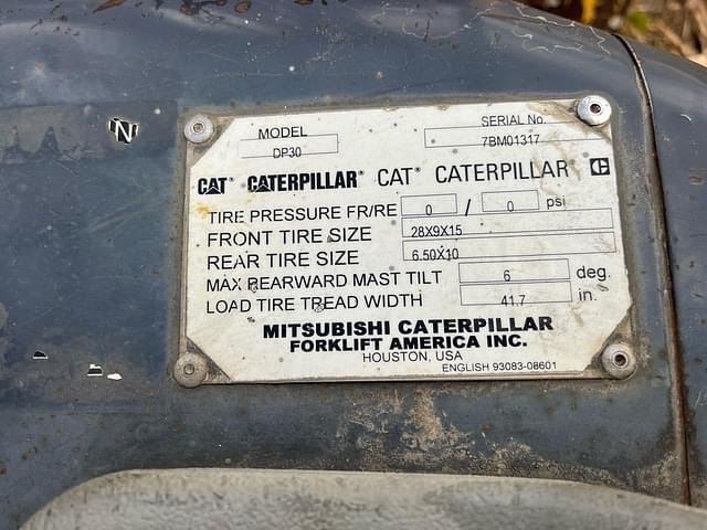 Image of Caterpillar DP30 equipment image 2