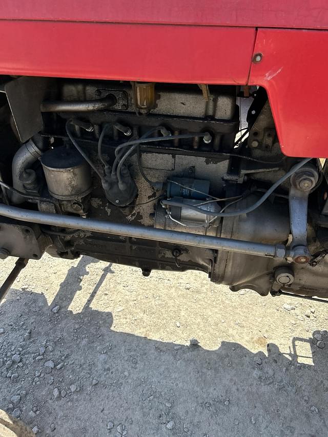 Image of Massey Ferguson 165 equipment image 3