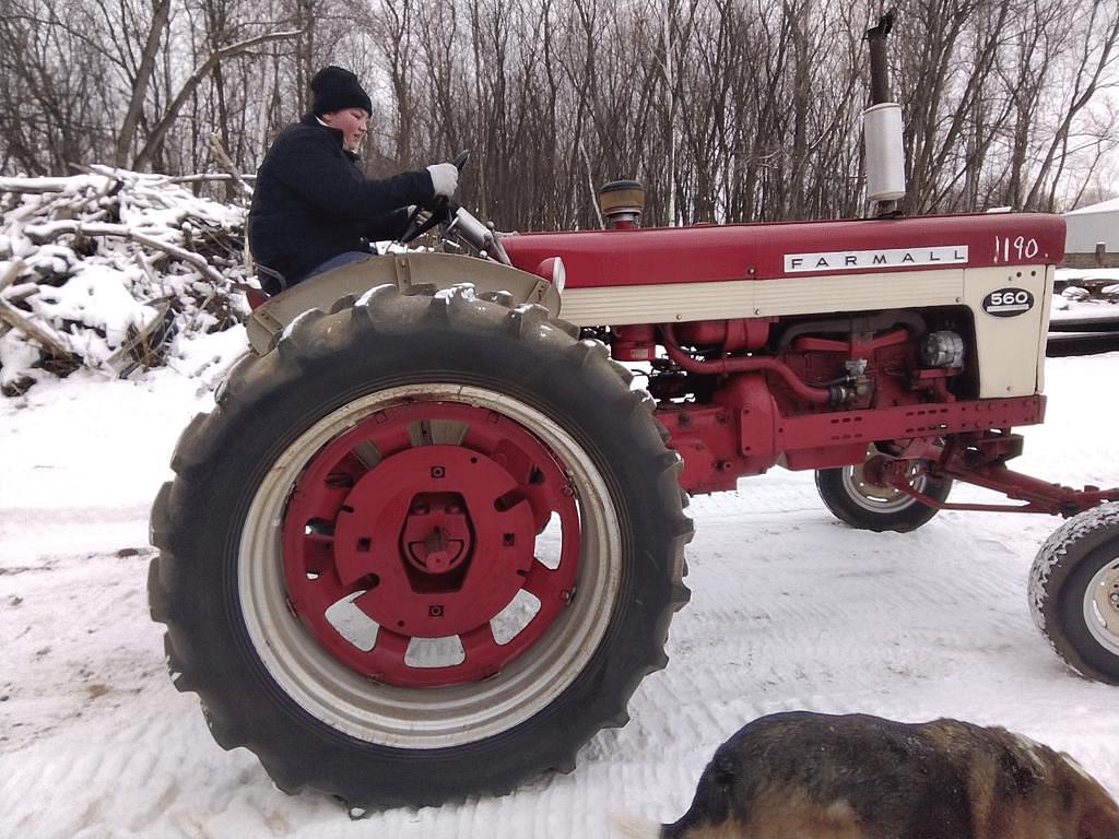 Image of Farmall 560  Primary image