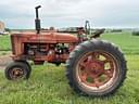Farmall M Image