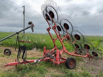 Main image Faza Undetermined