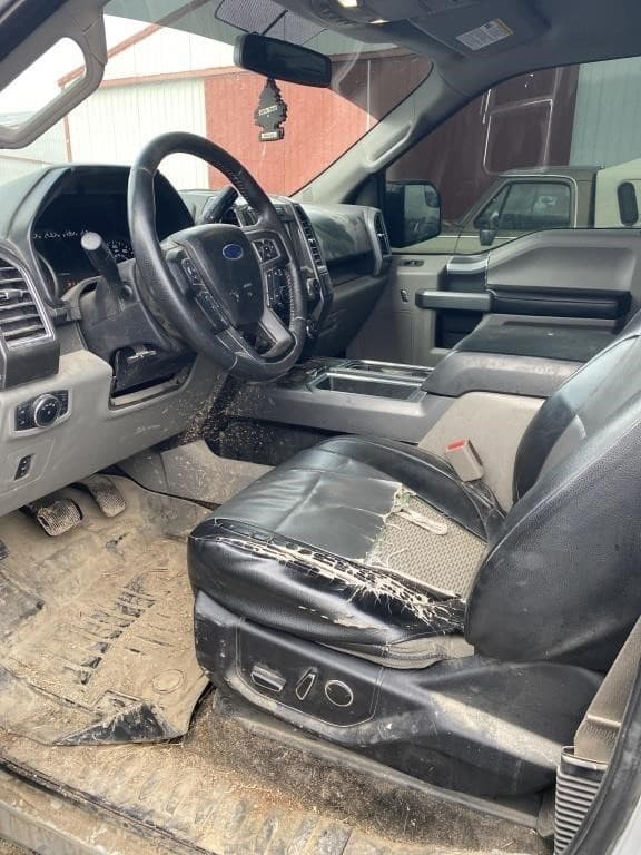 Image of Ford F-150 equipment image 4