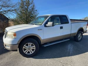 2005 Ford F-150 Image