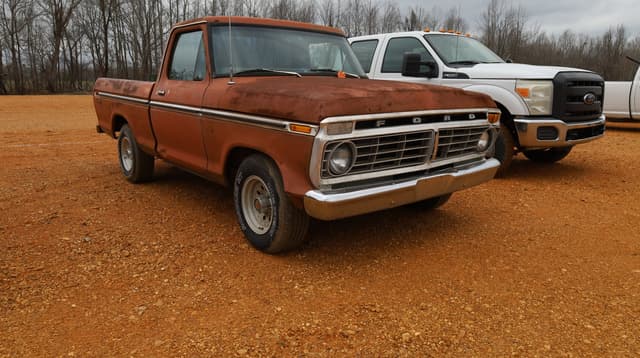 Image of Ford F-100 equipment image 1