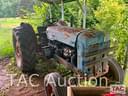 Fordson Power Major Image