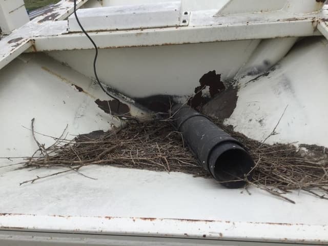 Image of Friesen Seed Titan 2 equipment image 4