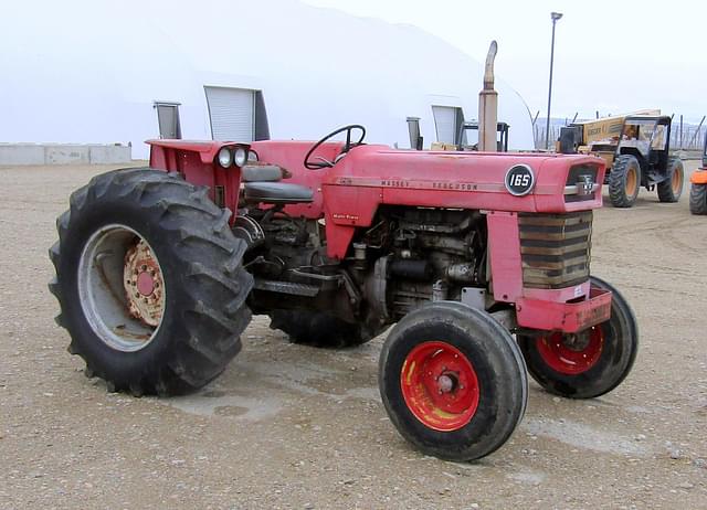 Image of Massey Ferguson 165 equipment image 1