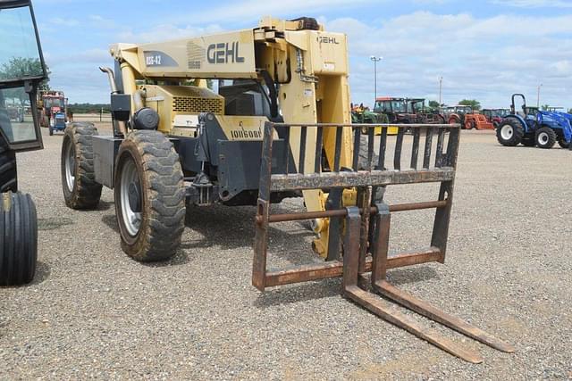 Image of Gehl RS6-42 equipment image 3