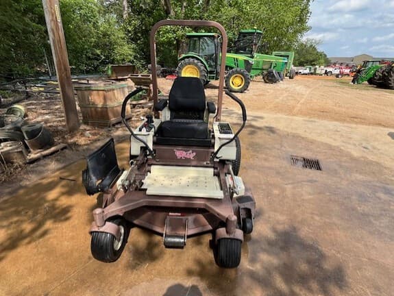 Image of Grasshopper 223 Primary image