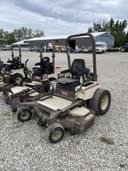 Grasshopper 223 Image