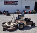 Grasshopper 718 Image