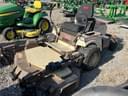 Grasshopper 729 Image