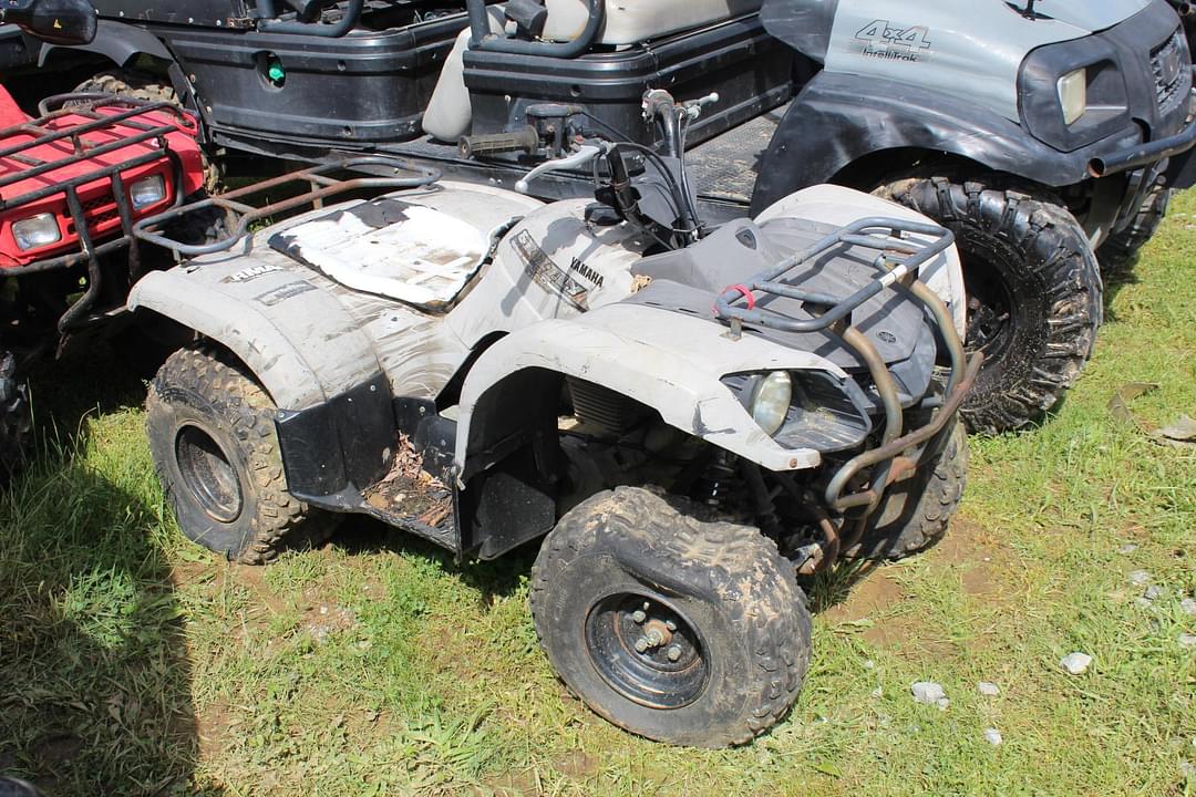 Image of Yamaha Grizzly Image 0
