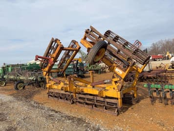 Main image Holly Undetermined