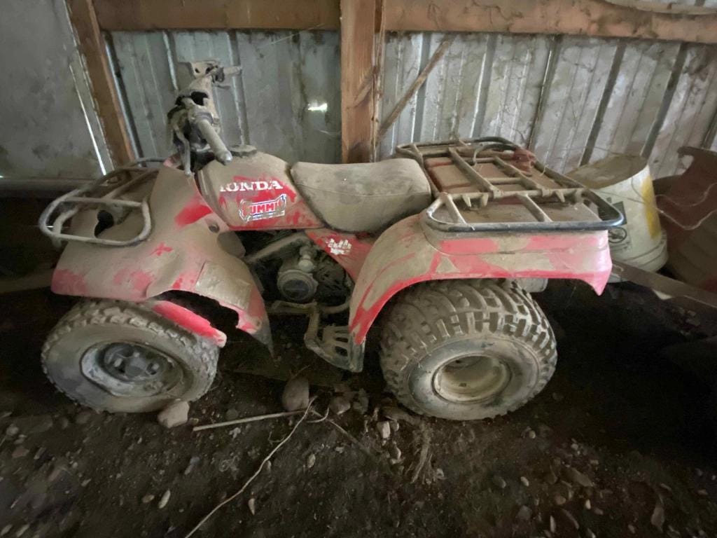 Main image Honda Fourtrax 250