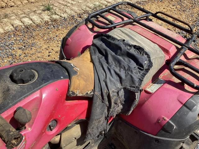 Image of Honda Rubicon 500 equipment image 4