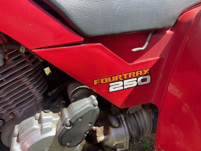 Image of Honda Fourtrax 250 equipment image 2