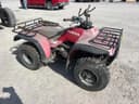 Honda Fourtrax 300 Image