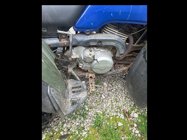 Image of Honda Fourtrax 300 equipment image 4