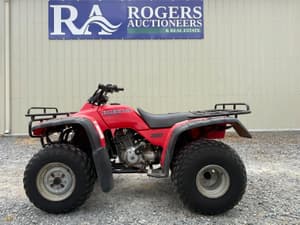 Honda Fourtrax 300 Image