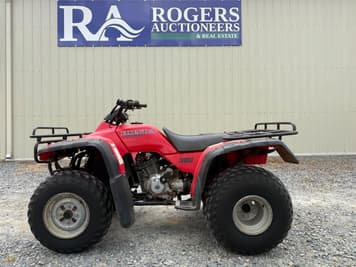 Main image Honda Fourtrax 300