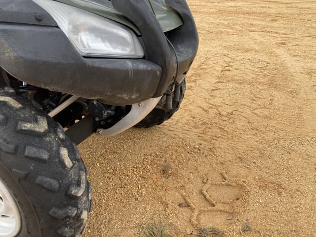 Image of Honda Rincon equipment image 4