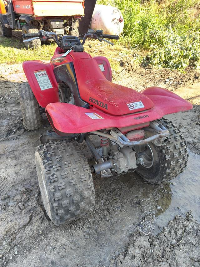 Image of Honda Sportrax 250EX equipment image 4