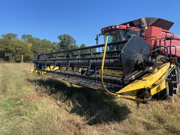 Main image Honey Bee SP21R