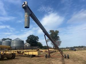 Hutchinson Undetermined Image