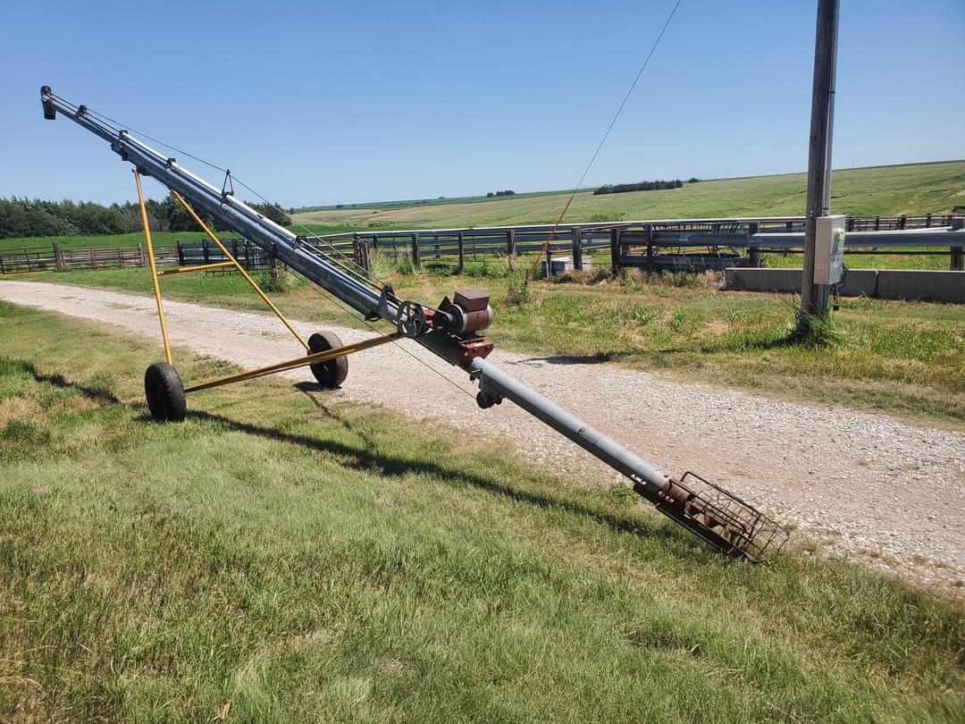 Image of Hutchinson Undetermined Primary image