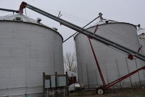 Hutchinson 10x65 Image