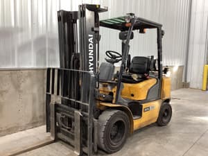 2019 Hyundai 30L-7A Image