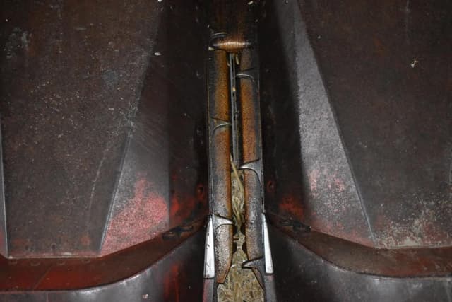 Image of International Harvester 1063 equipment image 3