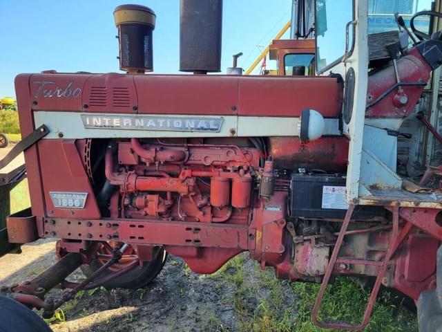 Image of International Harvester 1256 equipment image 3