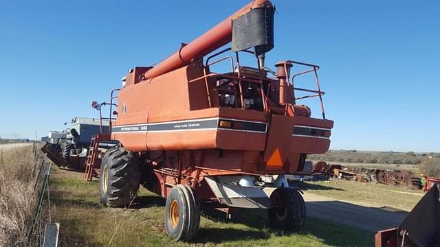 Image of International Harvester 1460 equipment image 3