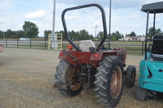 Image of International Harvester 254 equipment image 2