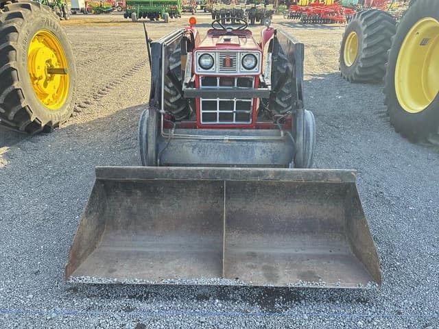 Image of International Harvester 384 equipment image 2