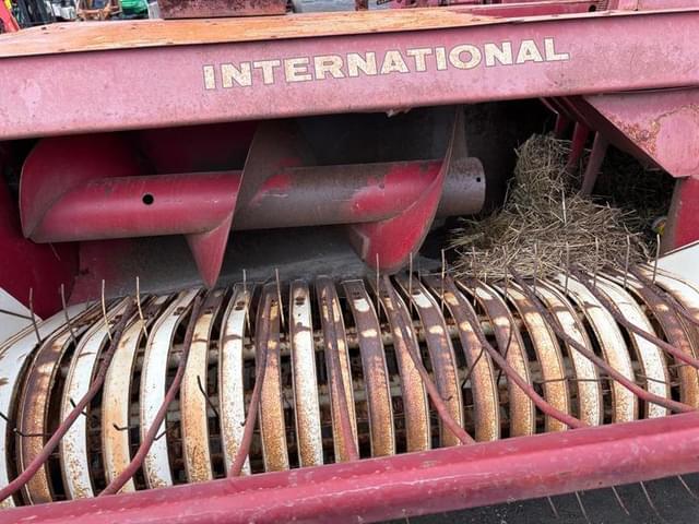 Image of International Harvester 445 equipment image 4