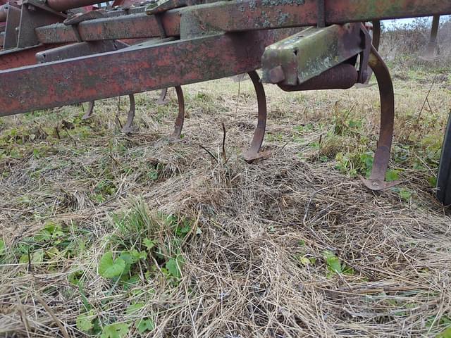 Image of International Harvester Vibra Shank equipment image 2