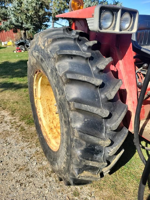 Image of International Harvester 574 equipment image 4