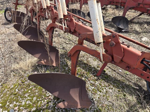 Image of International Harvester 720 equipment image 4