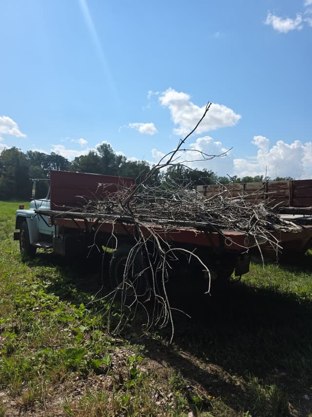 Image of International Loadstar 1600 equipment image 3