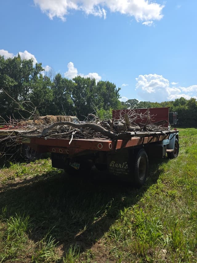 Image of International Loadstar 1600 equipment image 2