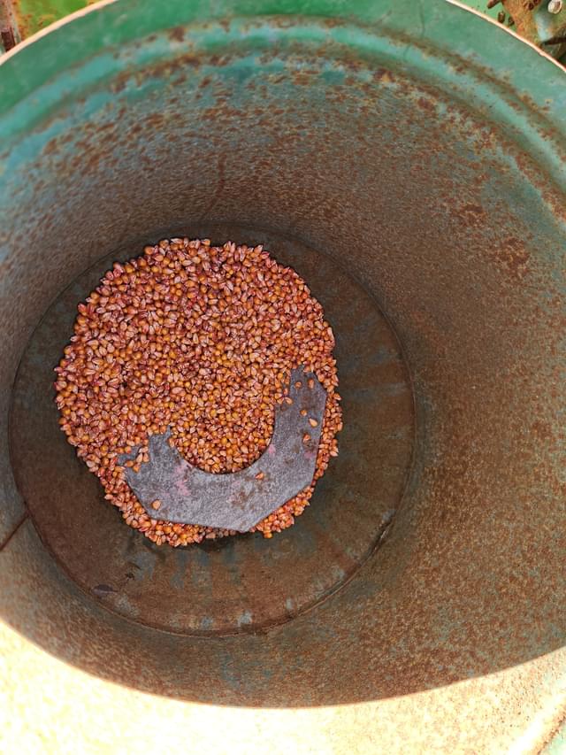 Image of John Deere 1240 equipment image 3