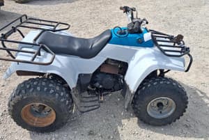Kawasaki Bayou 220 Image