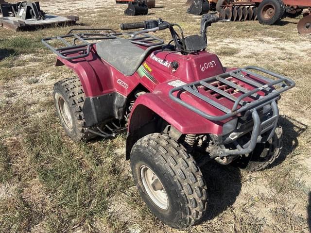 Image of Kawasaki Bayou 250 equipment image 3