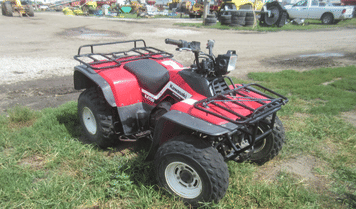 Main image Kawasaki Bayou 300