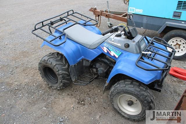 Image of Kawasaki Bayou equipment image 1